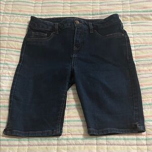 D. Jeans Indigo Denim Shorts